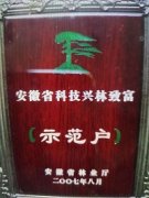 安徽庐江：《林权证》经营20年竟然变成废纸一张，还引起官司