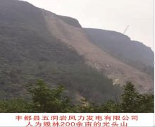 重庆丰都县五洞岩风电项目违规毁林引发泥石流责任谁负？