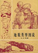 《地貌类型图说》第五章：火山地貌