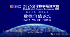 2025全球数字经济大会数据价值论坛在北京圆满举行