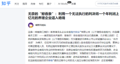 无奈的“鲸吞象”：利用一个无法执行的判决将